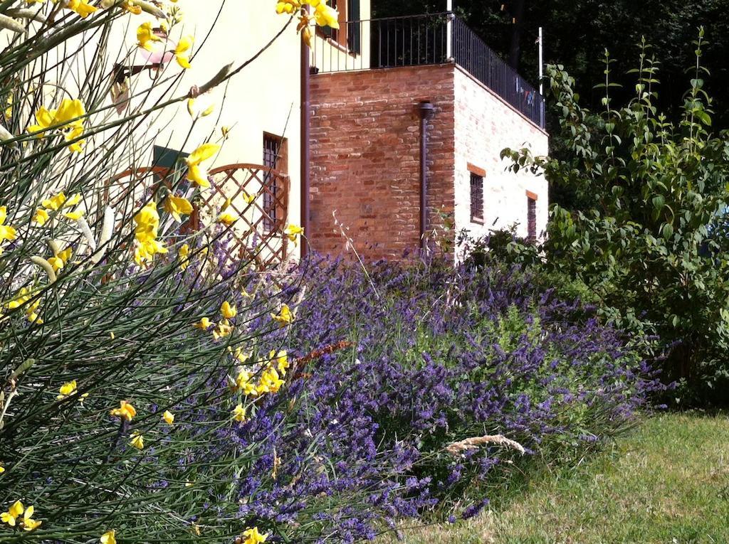 B&B Cal Torello Urbino Extérieur photo